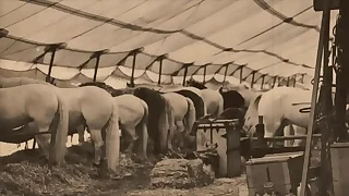 Dark Lantern Enjoyment Presents 'The Dragonfly' Scene 3 Pt&period;1