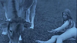 Vintage Babes With Pets