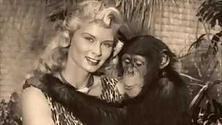 Output Taboo&comma; Pussy & Pooch